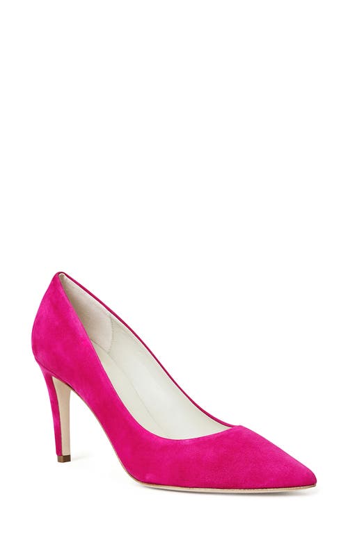 Bruno Magli Telma Pointed Toe Pump in Magenta Suede