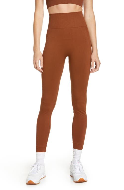 We Wore What Seamless High Waist Leggings in Brunette at Nordstrom, Size X-Small