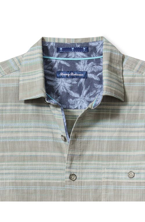 Shop Tommy Bahama Sierra Sands Stripe Cotton Button-up Shirt In Tea Leaf