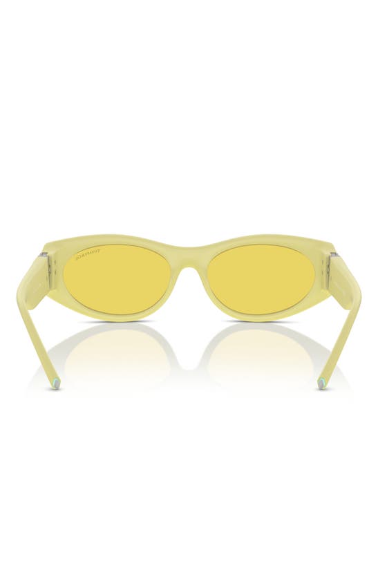 Shop Tiffany & Co . 55mm Oval Sunglasses In Yellow