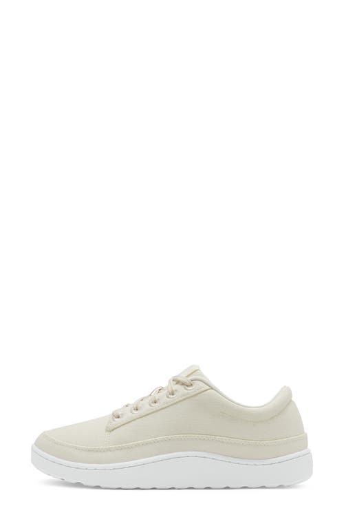 Allbirds Pacer Sneaker In Natural White/blizzard