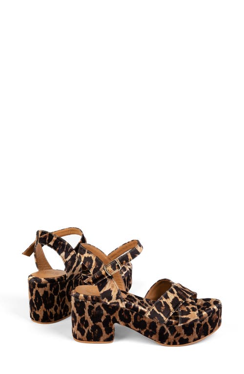 Penelope Chilvers Azalea Ankle Strap Platform Sandal In Brown