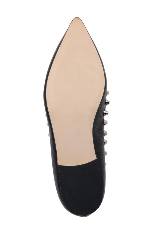 Beautiisoles Celeste Pointed Toe Loafer In Black
