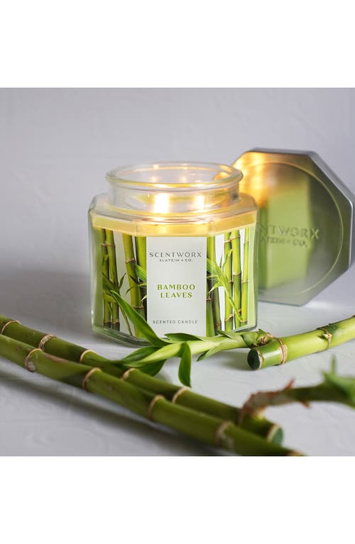 Shop Homeworx By Slatkin & Co. Bamboo Leaves Scented 3-wick Jar Candle In No Color