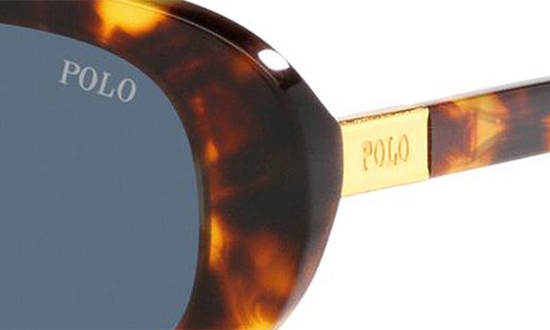 Shop Polo Ralph Lauren 53mm Oval Sunglasses In Shiny Havana