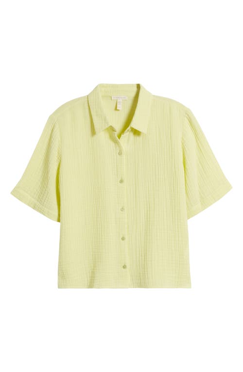 Eileen Fisher Classic Collar Shirt In Citrus