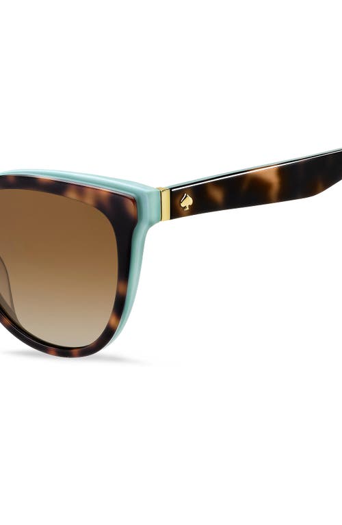 Shop Kate Spade New York Daeshas 56mm Polarized Cat Eye Sunglasses In Havana/green/brown