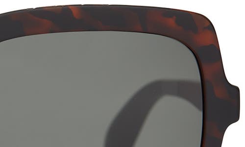 Toms Athena 56mm Square Sunglasses In Matte Blonde Tortoise