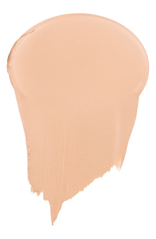 Dior Forever Skin Perfect Stick In 2.5n