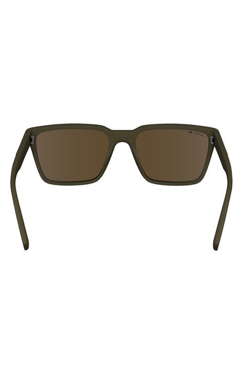 Shop Lacoste 56mm Rectangular Sunglasses In Brown/khaki