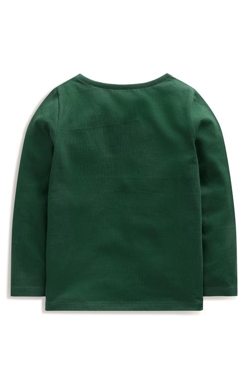 Shop Mini Boden Kids' Pets Appliqué Long Sleeve Cotton Graphic T-shirt In Jewel Green Winter Friends