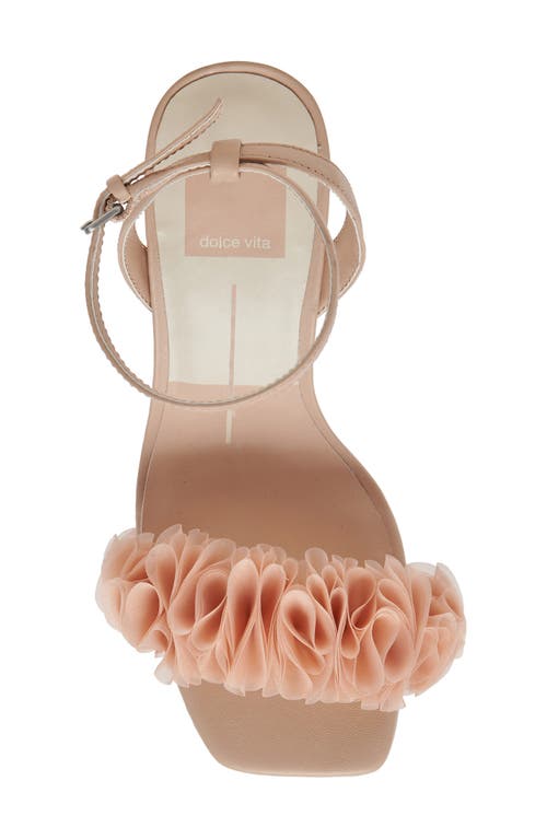 Shop Dolce Vita Iesha Ankle Strap Sandal In Light Blush Leather