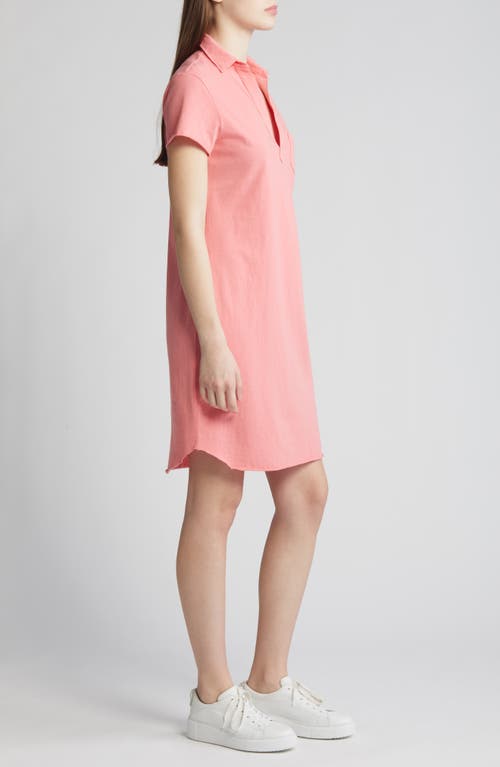 Shop Frank & Eileen Lauren Polo Dress In Watermelon