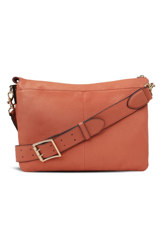 Shop Aimee Kestenberg Famous Leather Large Crossbody Bag In Apricot