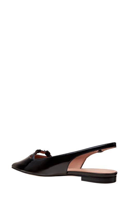 Linea Paolo Celina Pointed Toe Slingback Flat In Black