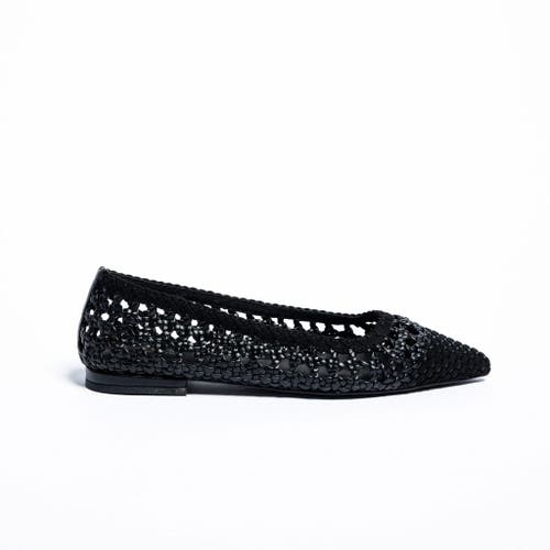 Shop Cecelia New York Brie  Woven Point Toe Ballet Flat In Black Suede