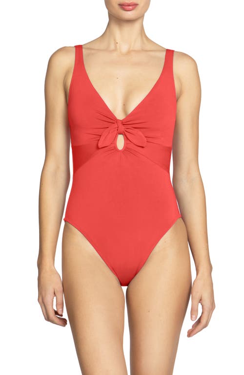 Ava Plunge Underwire One-Piece Swimsuit in Guava