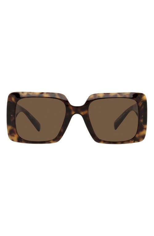 Versace 54mm Rectangle Sunglasses In Havana/dark Brown