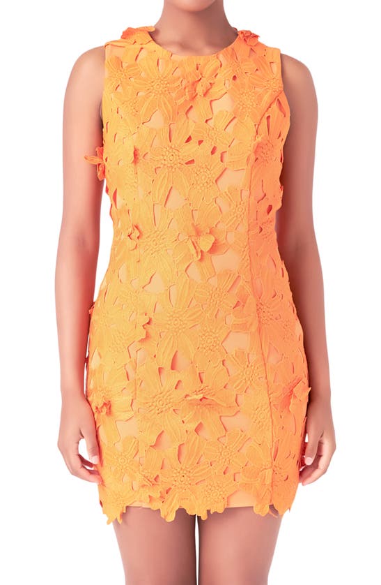 Endless Rose Women's Floral Embroidered Mini Dress In Orange