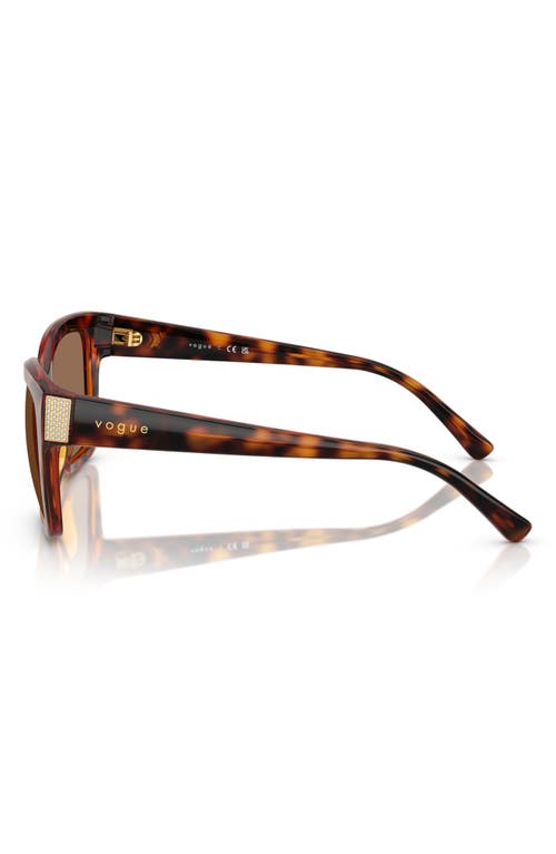 Vogue 54mm Polarized Square Sunglasses In Dark Havana