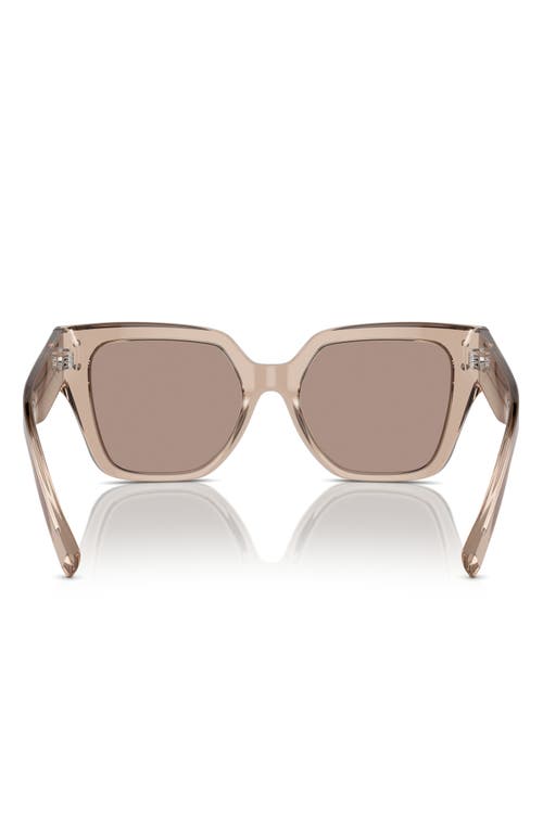 Shop Dolce & Gabbana Dolce&gabbana 52mm Square Sunglasses In Camel