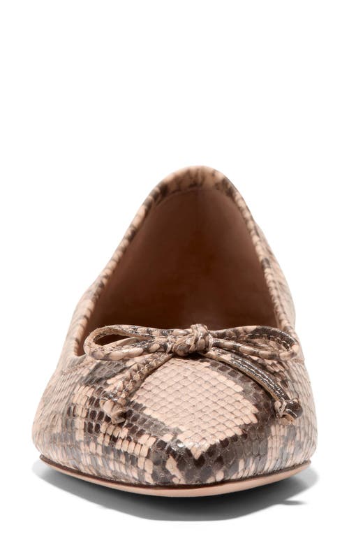 COLE HAAN COLE HAAN CHLEA POINTED TOE BALLET FLAT