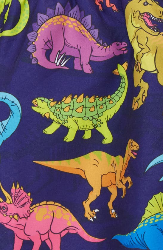BOARDIES BOARDIES KIDS' VIBRANT DINOS SWIM TRUNKS