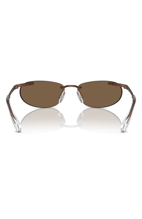 Shop Swarovski 59mm Oval Sunglasses In Matte Brown