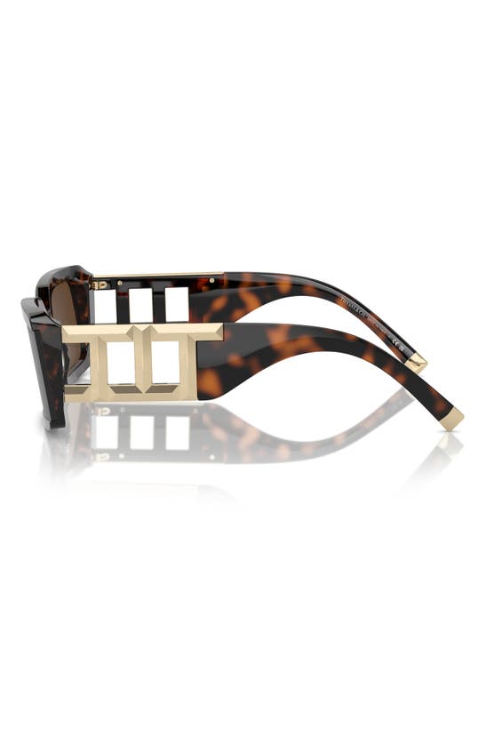 Shop Tiffany & Co 62mm Oversize Rectangular Sunglasses In Havana