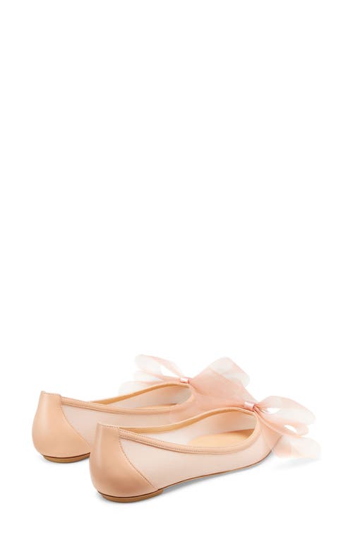 Shop Stuart Weitzman Blushing Bow Pointed Toe Flat In Ginger