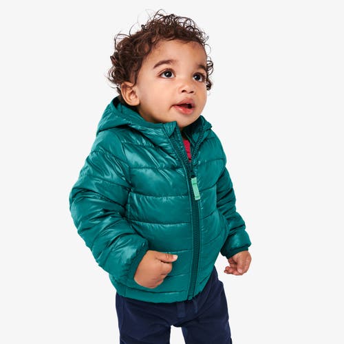 Shop Primary Baby Lightweight Puffer Jacket In Spruce