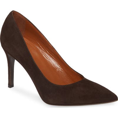 Aquatalia Michelle Pointy Toe Pump- Brown