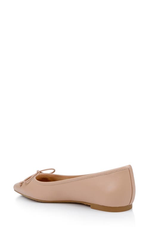 BADGLEY MISCHKA BADGLEY MISCHKA COLLECTION CAM POINTED TOE BALLET FLAT 
