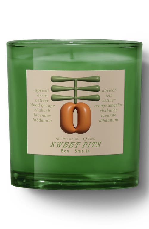 Boy Smells Farm to Candle - Sweet Pit Scented Candle 