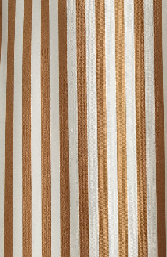 Shop Max Mara Faesite Stripe Long Sleeve Silk Twill Shirtdress In Honey