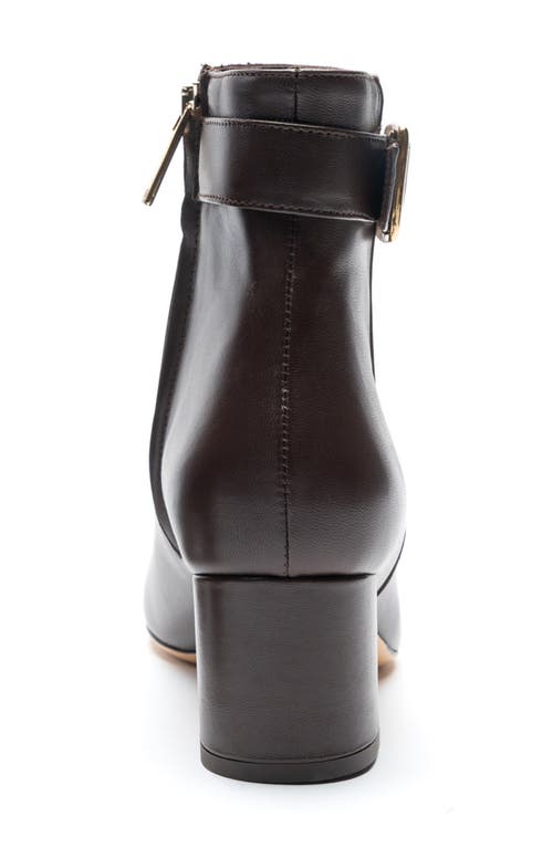 Bruno Magli Petra Pointed Toe Bootie In Brown