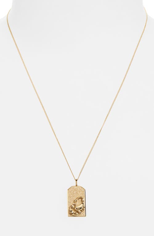 Jenny Bird Zodiac Pendant Necklace In Gold - Scorpio