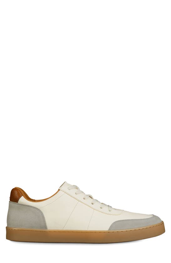 Shop Allen Edmonds Liam Sneaker In Ivory