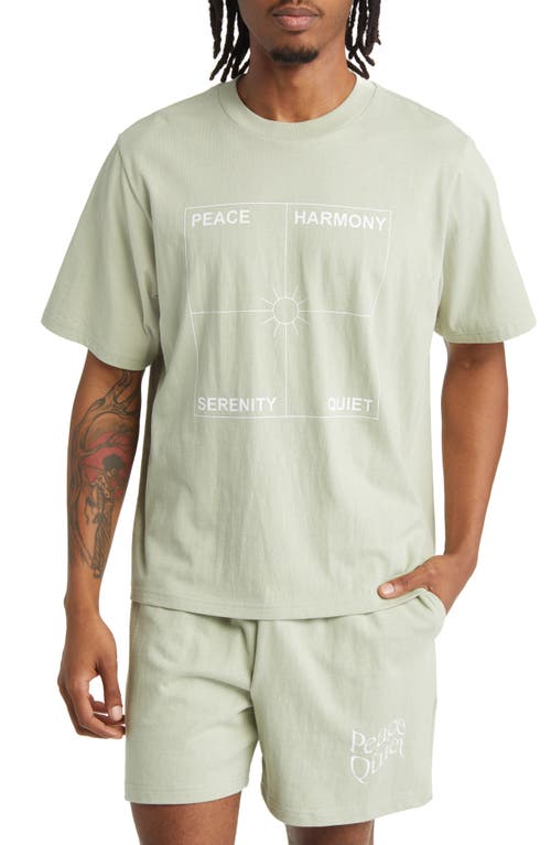 Four Corners Cotton Graphic T-Shirt in Sage
