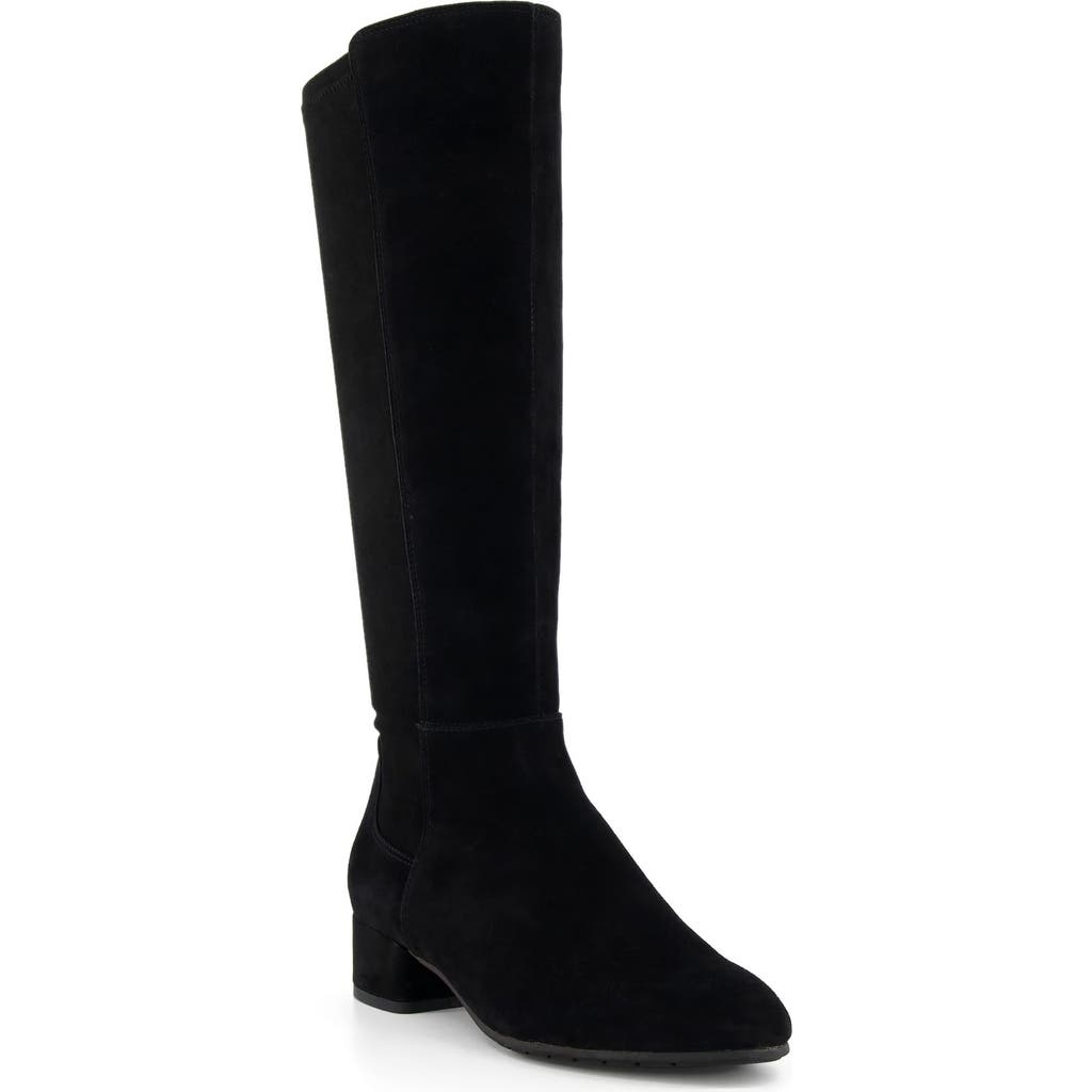 Dune London Tayla Knee High Boot In Black Suede