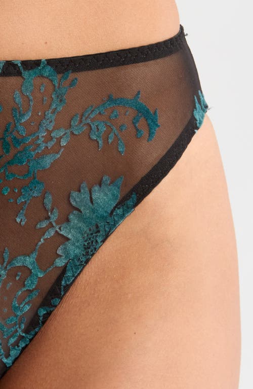 Kilo Brava High Cut Embroidered Mesh Briefs In Black Emerald