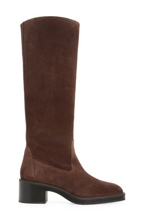 Shop Stuart Weitzman Kaia Knee High Boot In Hickory Sport Suede