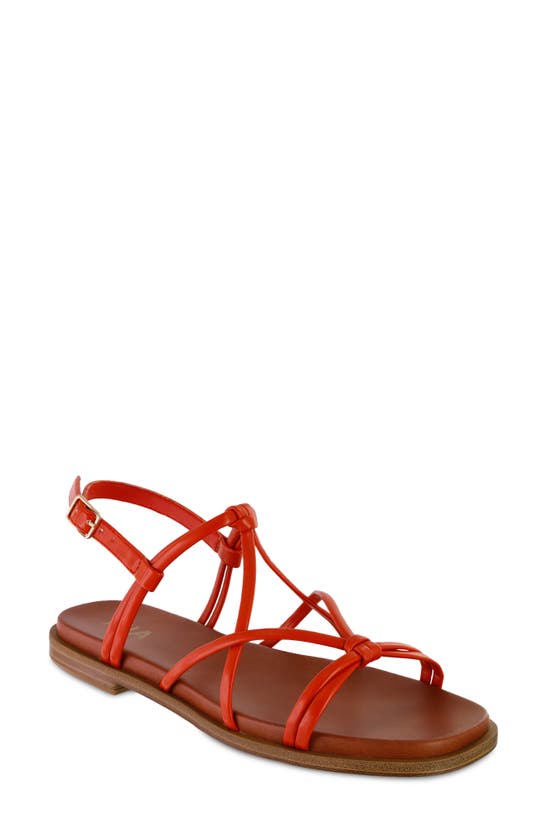 Shop Mia Daphine Slingback Sandal In Coral