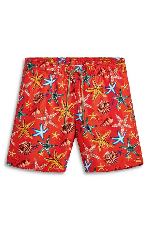 Shop Bugatchi Starfish Shell Print Swim Trunks In Tangerine