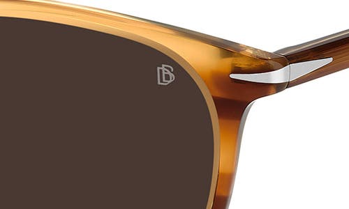 David Beckham Eyewear Square-frame Sunglasses In Brown