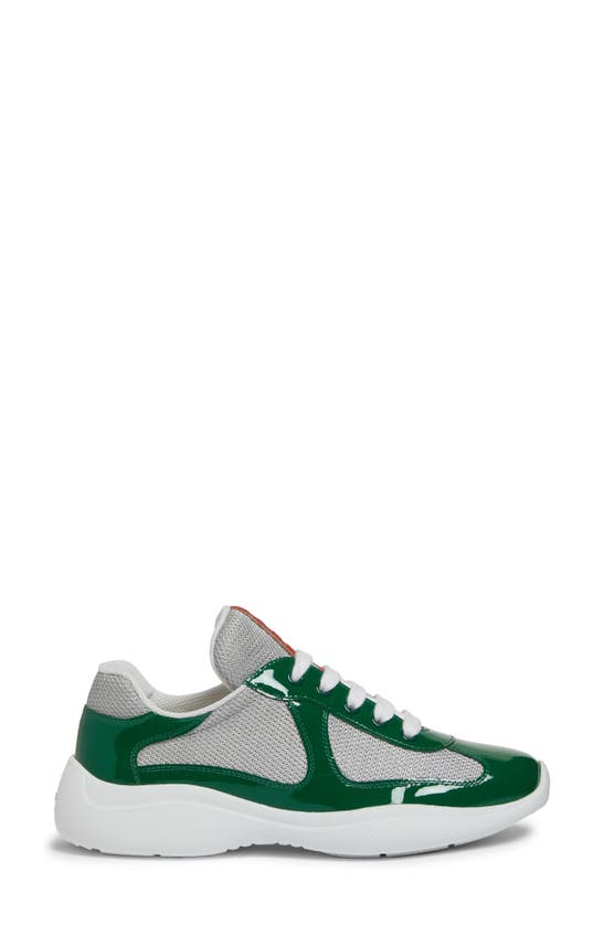 Shop Prada America's Cup Sneaker In Verde