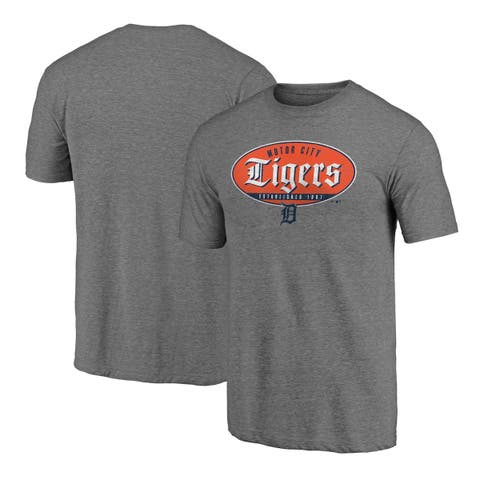 Detroit Tigers Nike Authentic Collection Pregame Performance V-Neck T-Shirt  - Gray