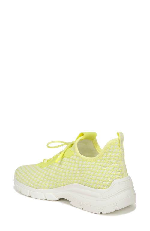 SAM EDELMAN SAM EDELMAN CAMI SNEAKER 