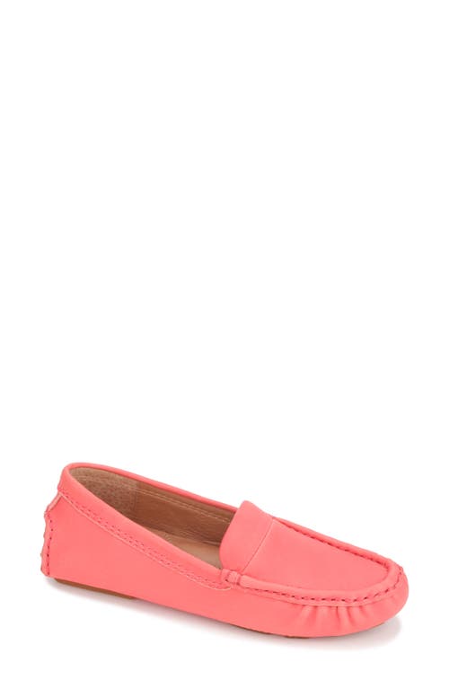 UPC 196350000347 product image for GENTLE SOULS BY KENNETH COLE Mina Driving Loafer in Coral at Nordstrom, Size 8 | upcitemdb.com