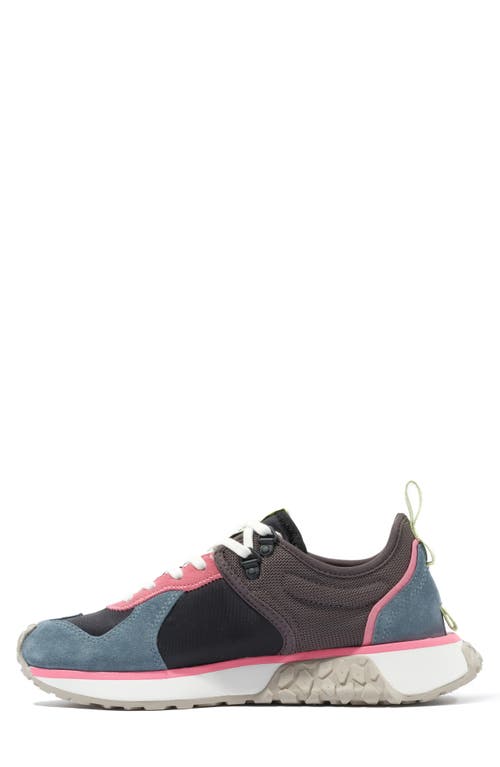 Palladium Troop Runner Sneaker In Black/goblin Blue